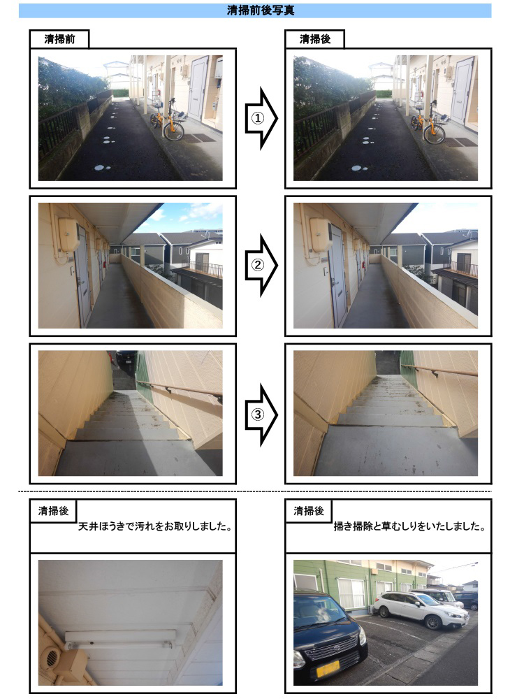 定期清掃レポート-20241015
